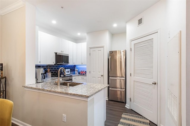 kitchen featuring dark wood finished floors, a peninsula, a sink, decorative backsplash, and appliances with stainless steel finishes