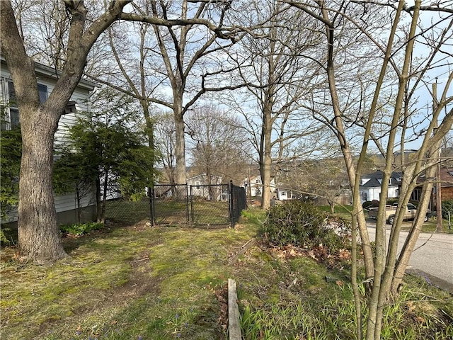 view of yard featuring fence and a gate