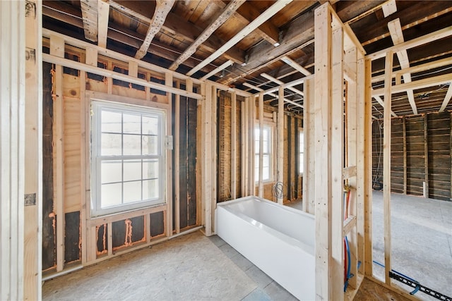 bathroom featuring plenty of natural light and a washtub