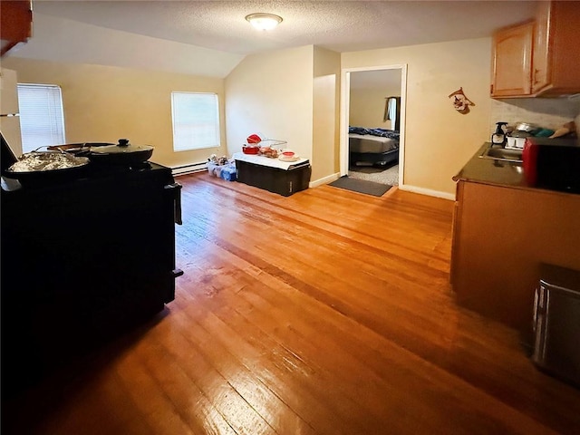 bedroom with a textured ceiling, baseboards, light wood-style floors, a baseboard radiator, and lofted ceiling