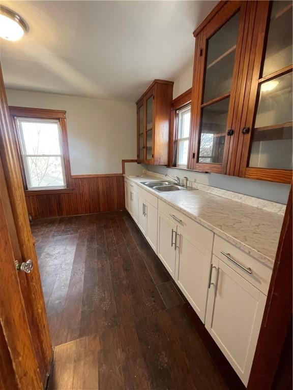 51 Oakland Ave, Cranston, RI 02910 - kitchen with a sink, wood walls, a wainscoted wall, dark wood-type flooring, and glass insert cabinets