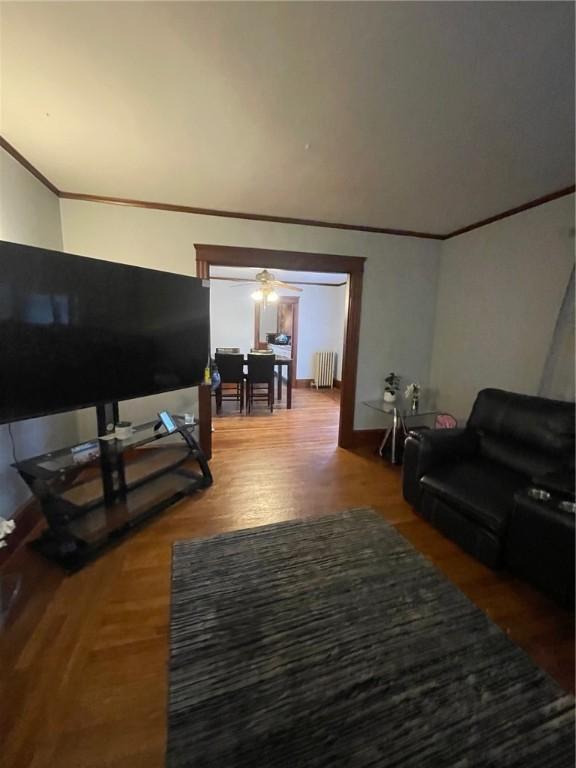 51 Oakland Ave, Cranston, RI 02910 - living room featuring a ceiling fan, ornamental molding, radiator heating unit, and wood finished floors