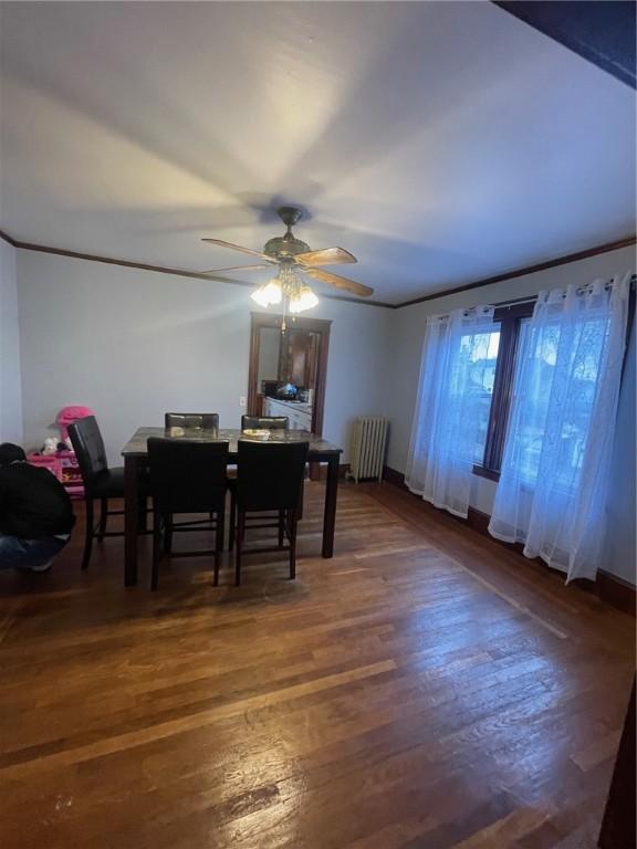 51 Oakland Ave, Cranston, RI 02910 - dining space with a ceiling fan, wood finished floors, and radiator