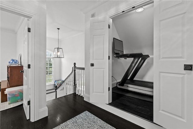 50 Kenyon Ave, East Greenwich, RI 02818 - stairs featuring visible vents, crown molding, and wood finished floors