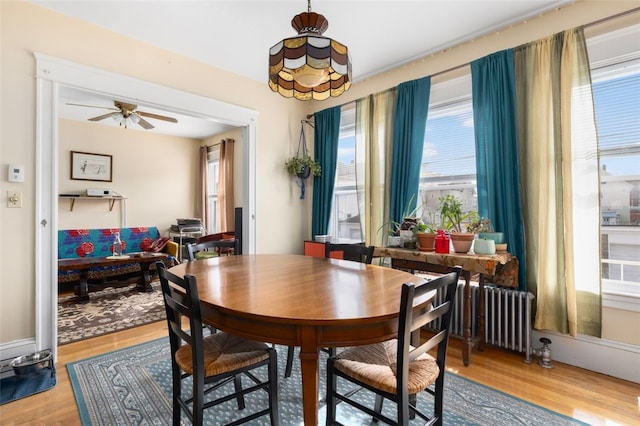 dining room with radiator, a ceiling fan, and wood finished floors