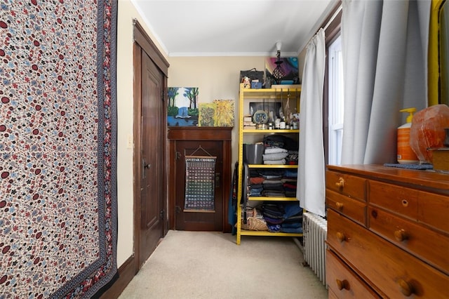 walk in closet featuring light colored carpet