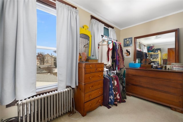 carpeted bedroom featuring crown molding, multiple windows, and radiator