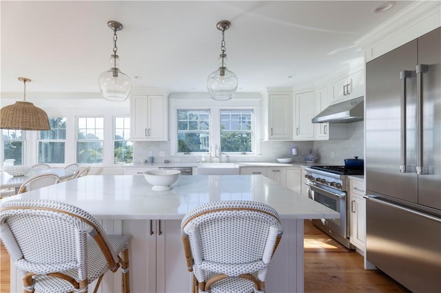 kitchen featuring under cabinet range hood, tasteful backsplash, high end appliances, and a sink