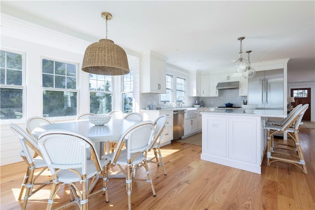 dining room with a wealth of natural light and light wood-type flooring