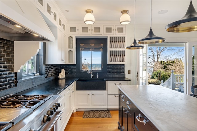kitchen featuring under cabinet range hood, high end stove, a healthy amount of sunlight, a sink, and light wood-type flooring