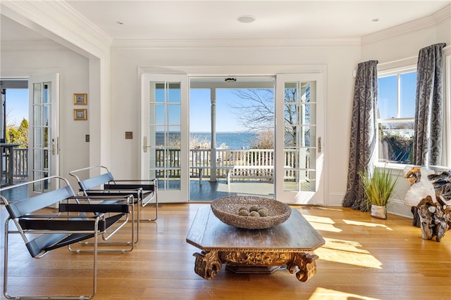 interior space with wood finished floors, a wealth of natural light, and ornamental molding