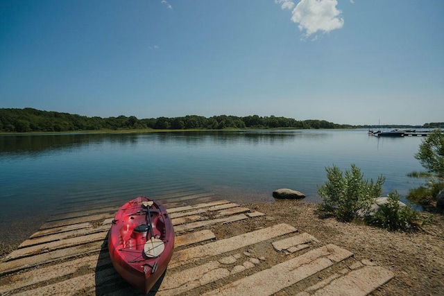 property view of water featuring a boat dock and a view of trees