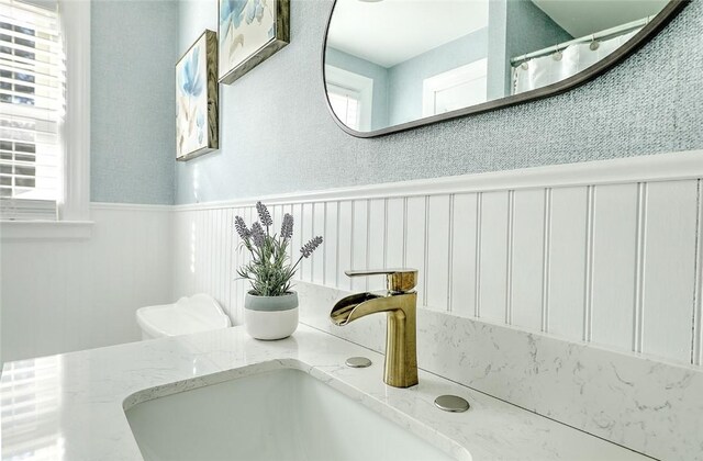 interior details with a wainscoted wall and a sink