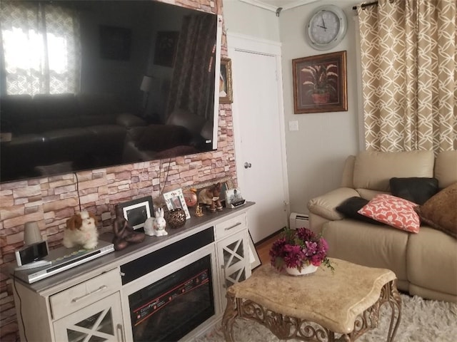 living room featuring crown molding and baseboard heating