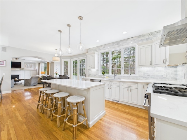 kitchen with a sink, appliances with stainless steel finishes, arched walkways, exhaust hood, and light wood finished floors