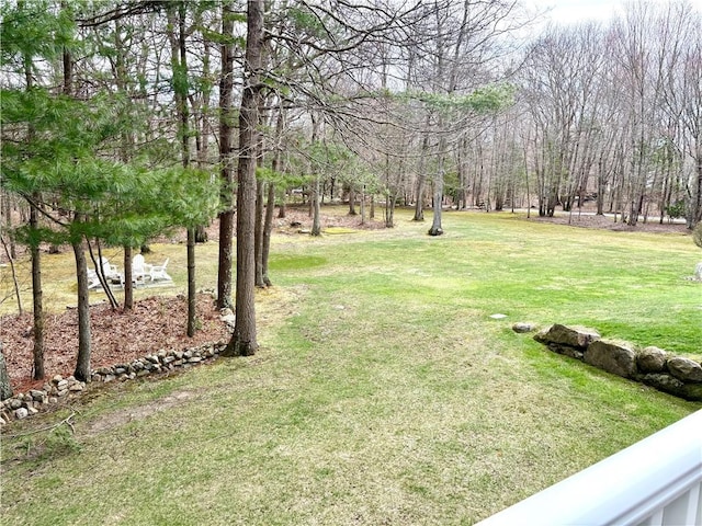 view of yard