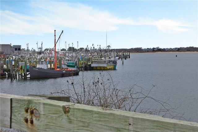water view featuring a boat dock