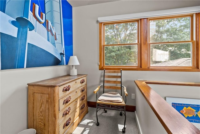sitting room with baseboards and carpet floors