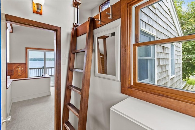 interior space featuring plenty of natural light and carpet flooring