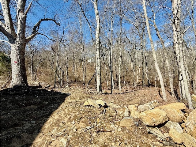 view of local wilderness featuring a forest view