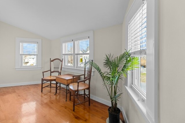 23 Smith Ave Unit 2, Newport, RI 02840 - sitting room with a wealth of natural light, lofted ceiling, and light wood-type flooring
