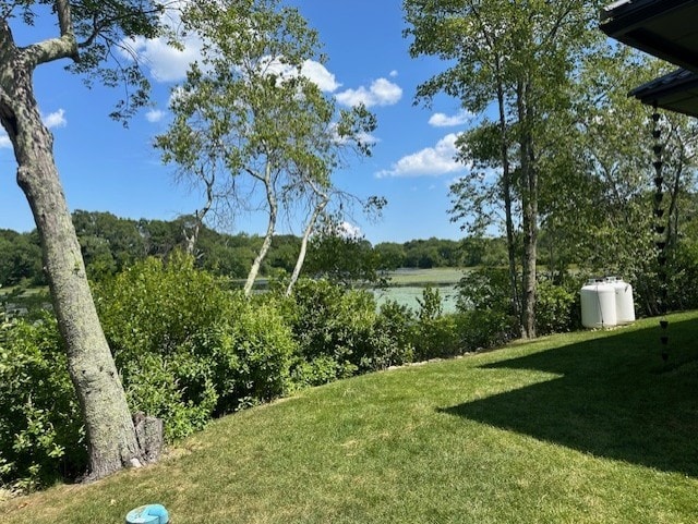 view of green lawn with a water view
