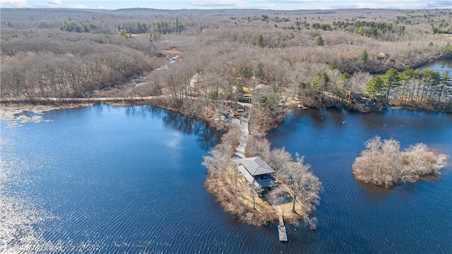 aerial view of a nearby body of water and a forest
