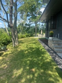 view of grassy yard