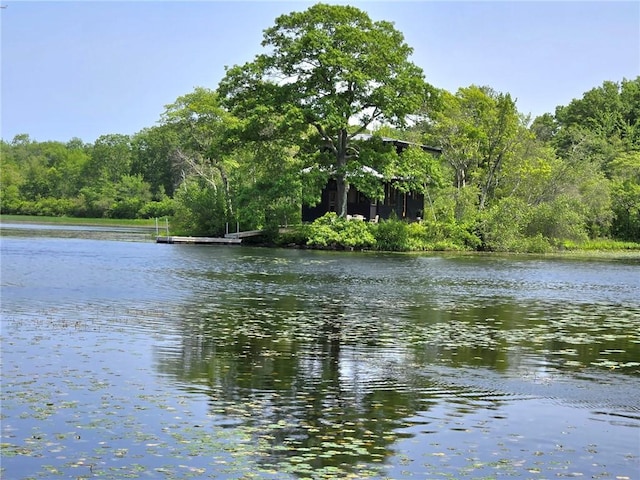 17 Jamaica Way N, Kingstown, RI 02852 - water view featuring a forest