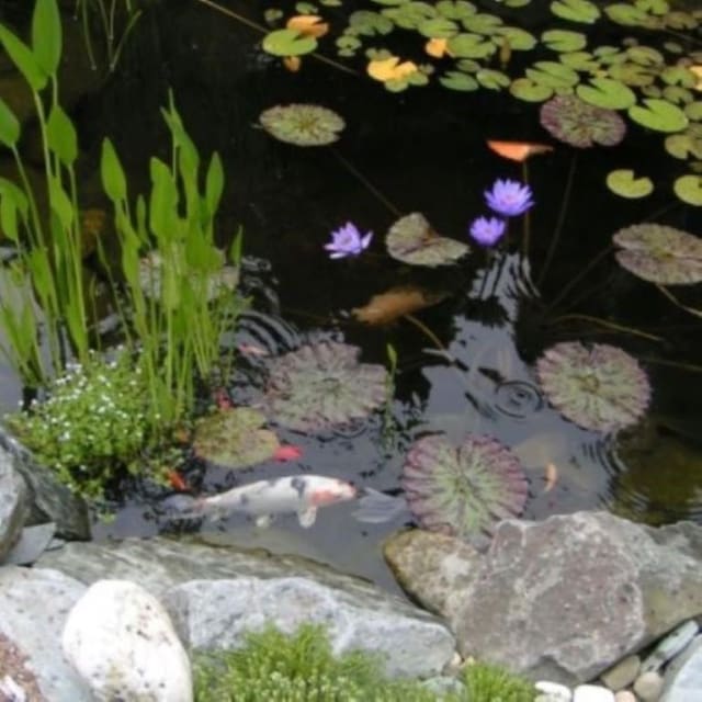 55 Hunter Ave, Newport, RI 02840 - details with a small pond