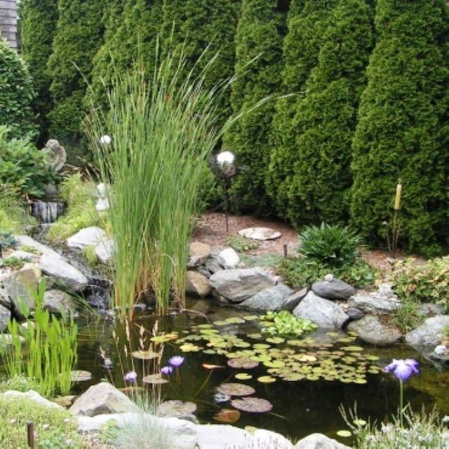 55 Hunter Ave, Newport, RI 02840 - view of yard featuring a small pond