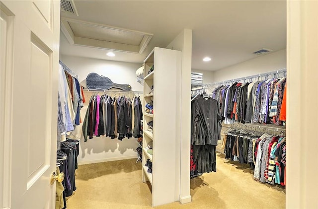 walk in closet with carpet floors, visible vents, and attic access