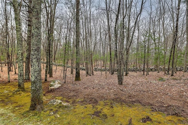 view of nature