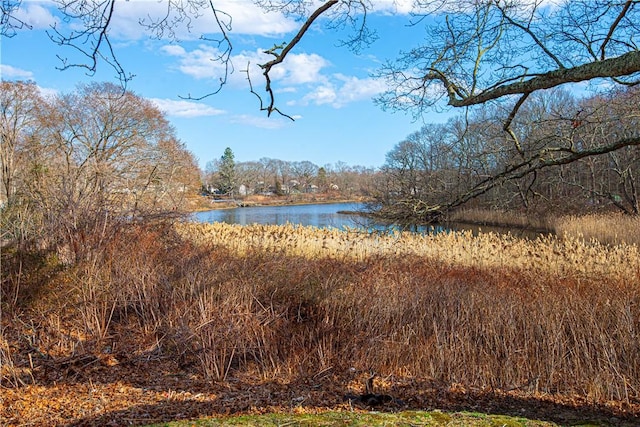view of water feature with a wooded view