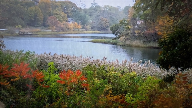 view of water feature featuring a forest view