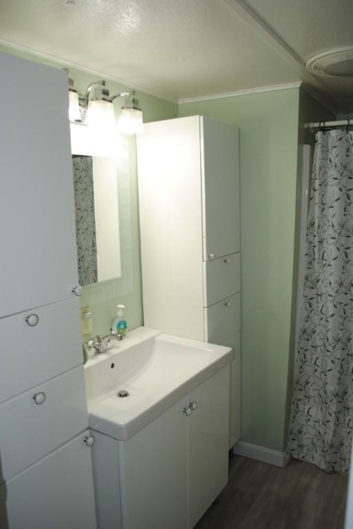 18 Torch Ln, Coventry, RI 02816 - full bathroom featuring vanity, wood finished floors, and curtained shower