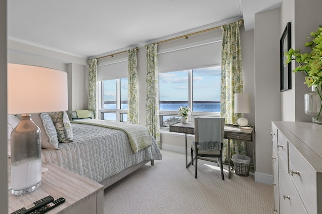 1 Tower Dr Unit 1203, Portsmouth, RI 02871 - bedroom with a water view, carpet, and baseboards