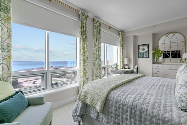 1 Tower Dr Unit 1203, Portsmouth, RI 02871 - bedroom with baseboards, a water view, and carpet flooring