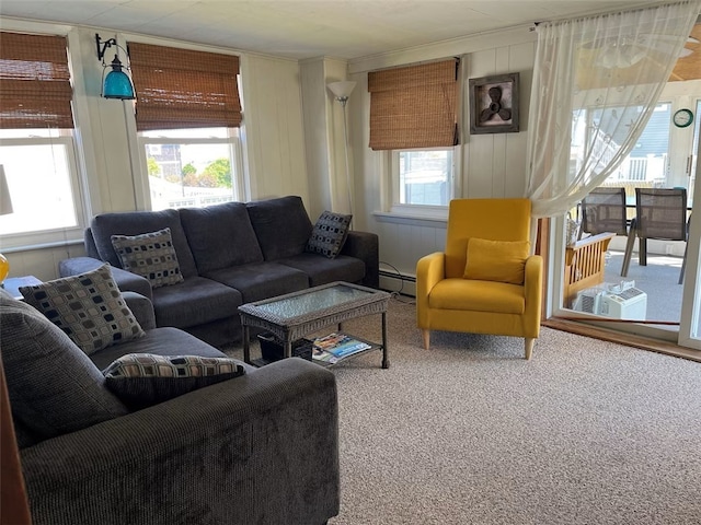 living room with a baseboard heating unit and a wealth of natural light