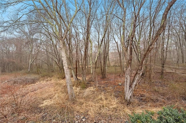 view of nature with a view of trees