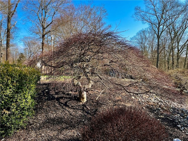 view of nature