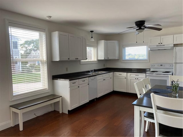 kitchen featuring a healthy amount of sunlight, white appliances, under cabinet range hood, dark wood finished floors, and dark countertops