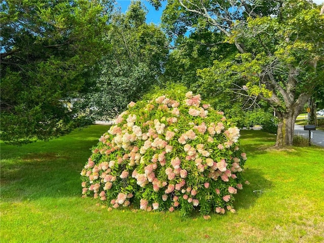 1737 Wampanoag Trl, Barrington, RI 02806 - view of grassy yard