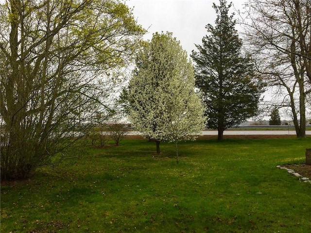 1737 Wampanoag Trl, Barrington, RI 02806 - view of grassy yard