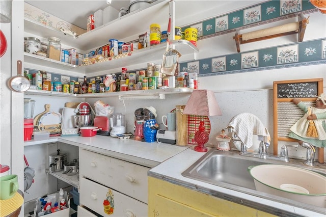 pantry featuring a sink