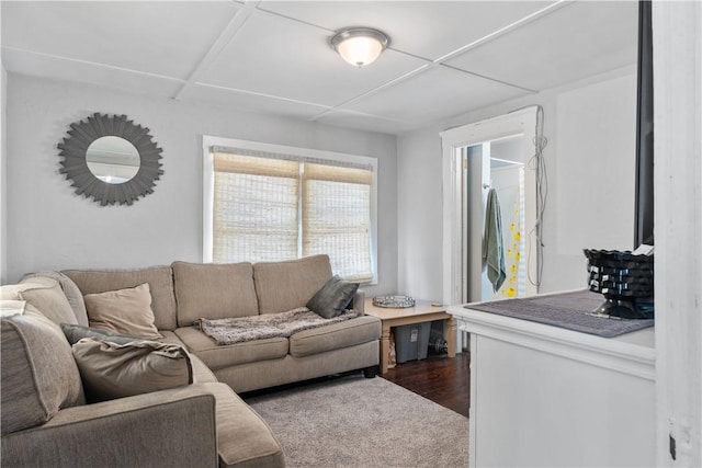 living room with dark wood-type flooring