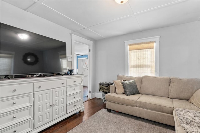 living area featuring dark wood-style flooring