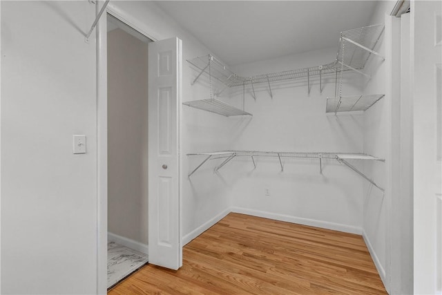 spacious closet featuring light wood-style floors