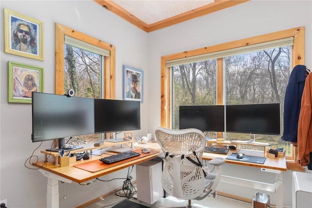 office with crown molding
