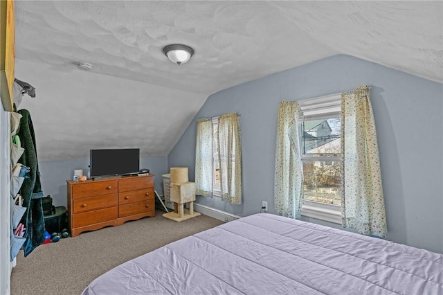 77 Seamans St, Providence, RI 02908 - bedroom with a textured ceiling, carpet flooring, and vaulted ceiling